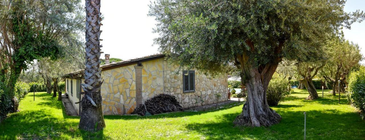 Villa Di Lago Albano - Castel Gandolfo Albano Laziale Exterior foto